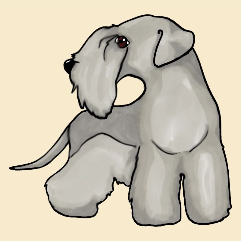 Cesky Terrier