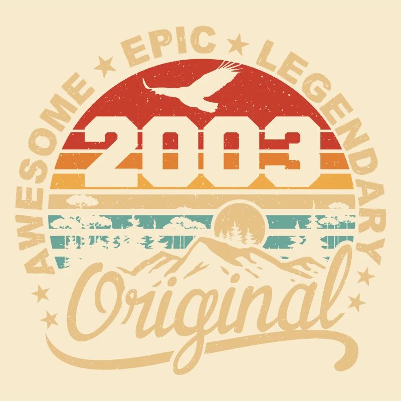 Original 2003 Retro 2003 Geburtstagsgeschenk 2003