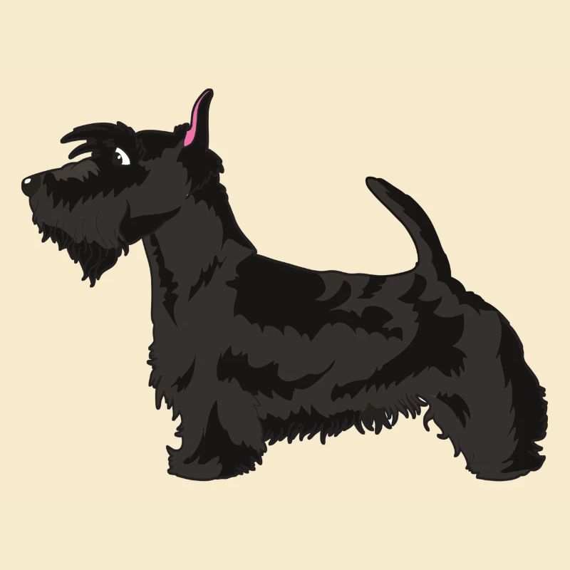 Scottish Terrier Dog