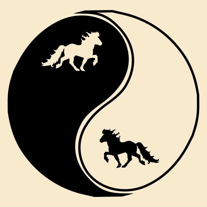 Islandpferde Yin Yang Freizeitreiten Pferd