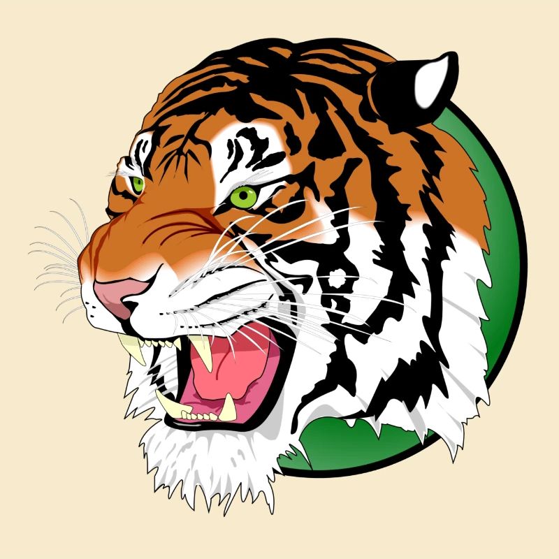 Löwe Tiger Leopard Raubtier