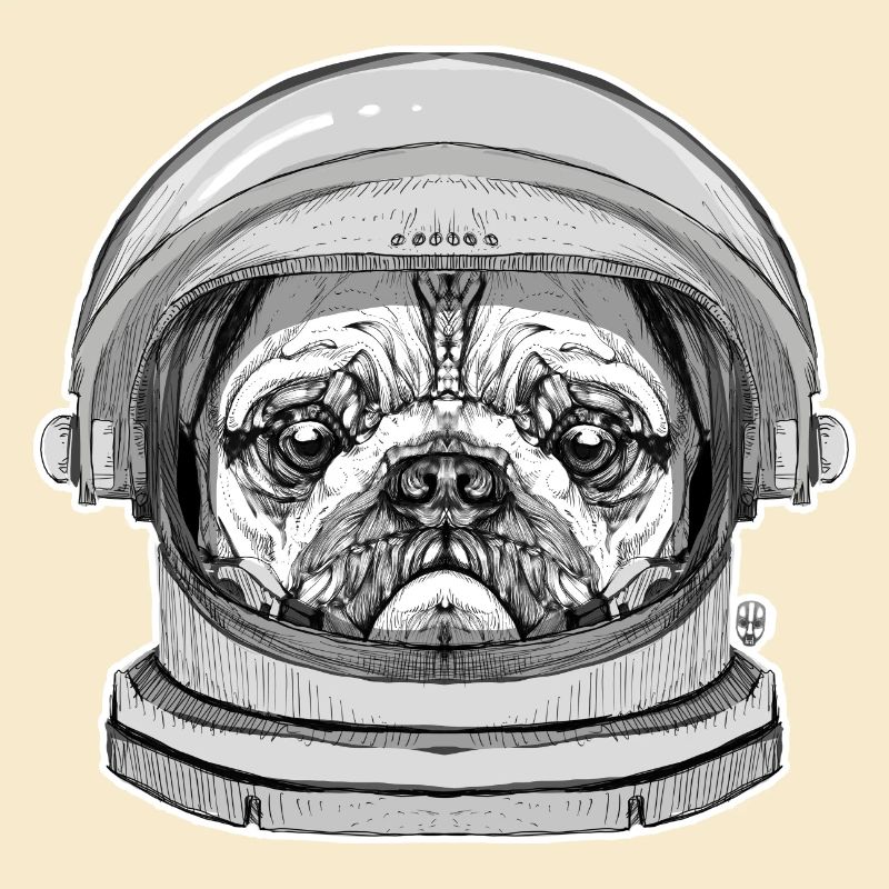 Mops Astronaut