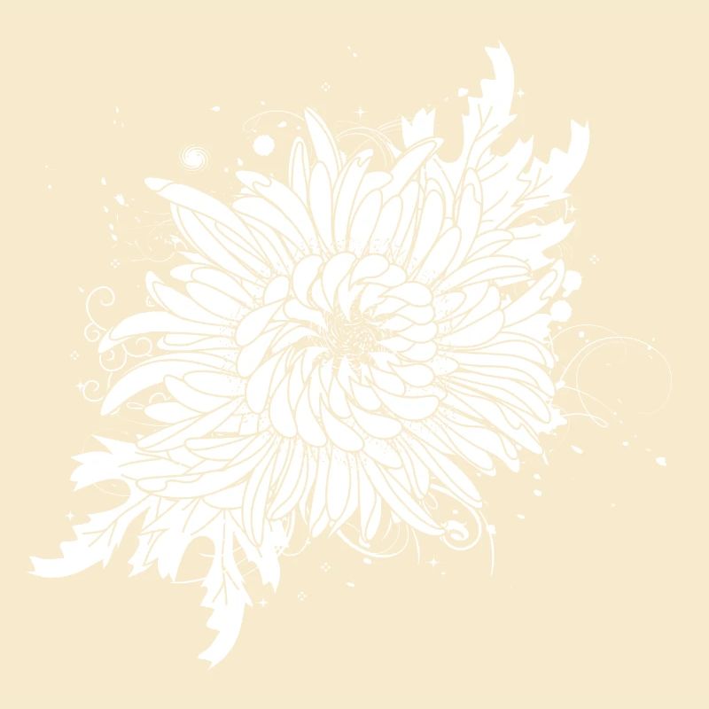 weiße Chrysantheme