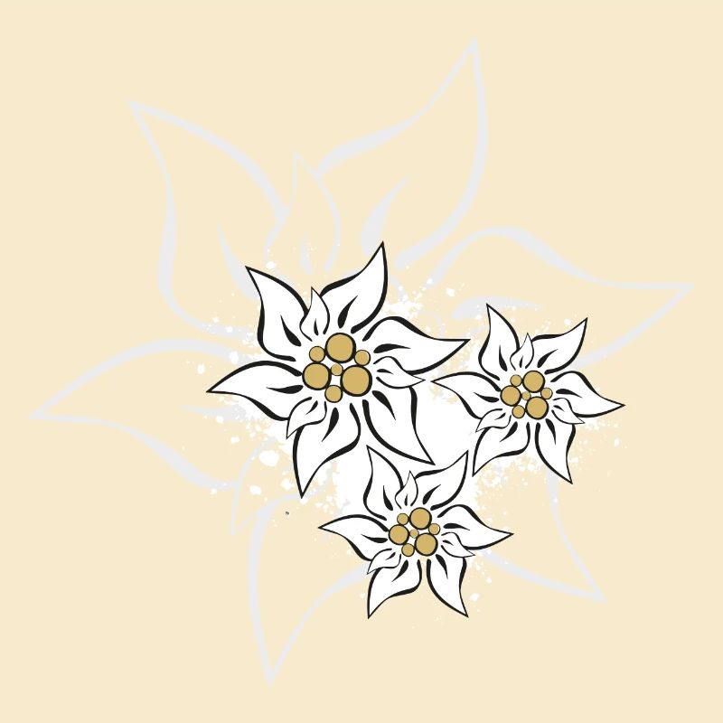 Edelweiss