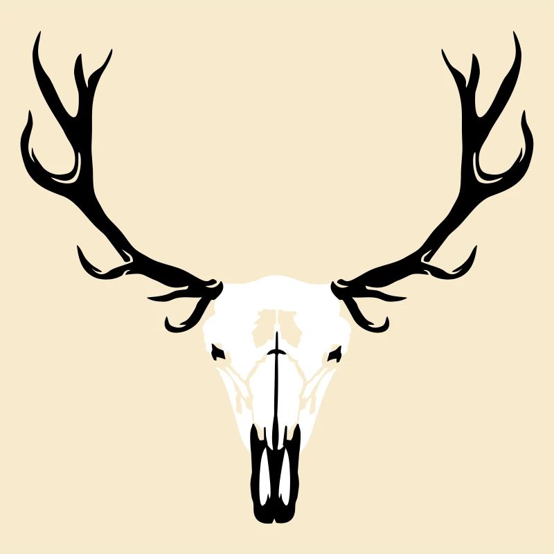 Deer skull and antlers
