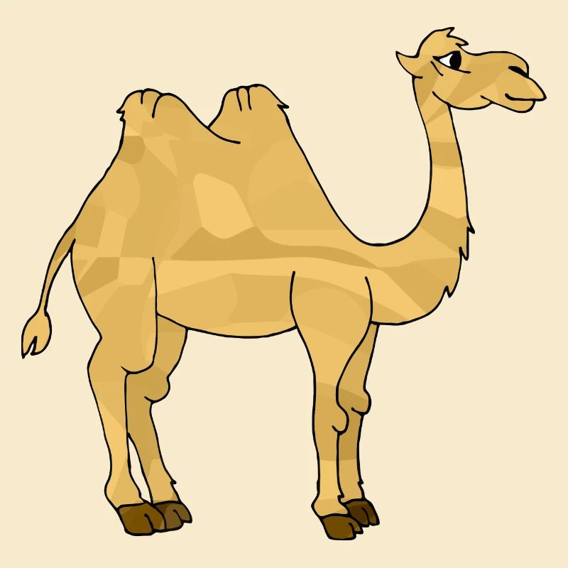 Camel