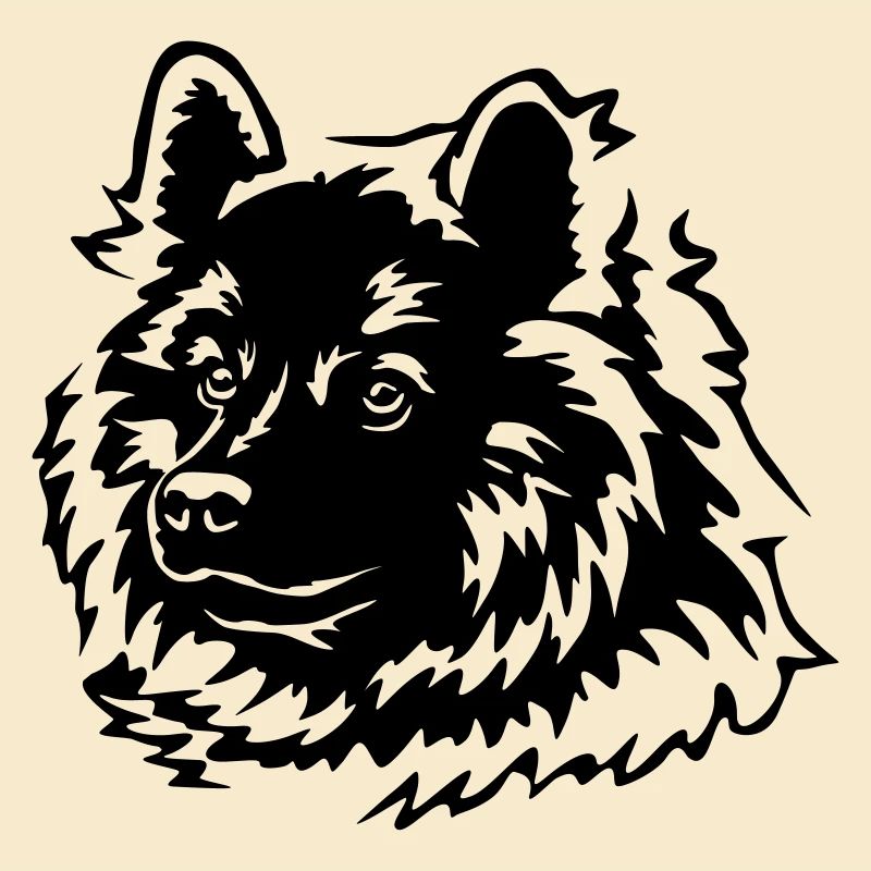Eurasier Kopf