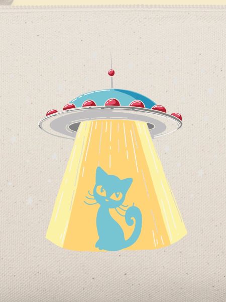 Humorvoller UFO-Katzen-Print