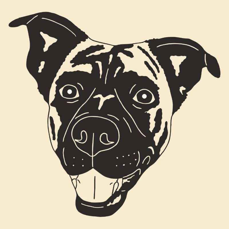 Boxer Schäferhund Mix