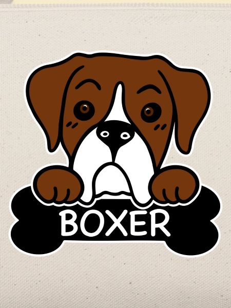 Boxer und Knochen