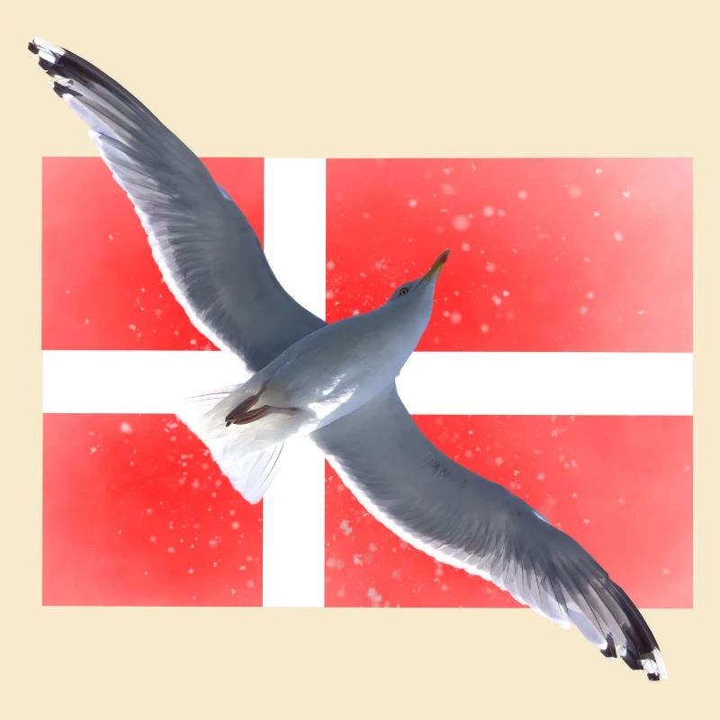 Dänemark Möwe Danmark