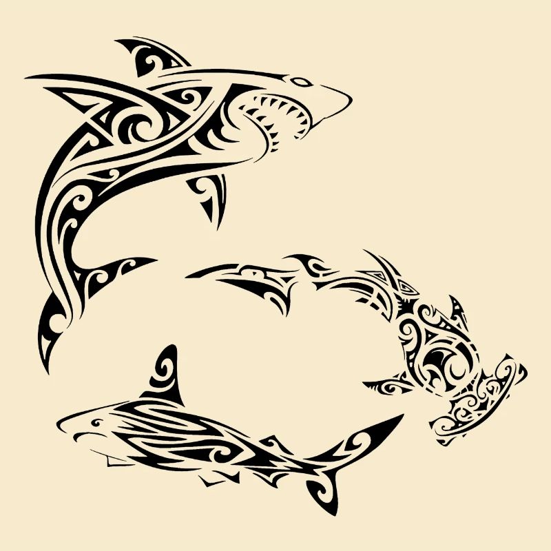 Requins polynésiens noirs