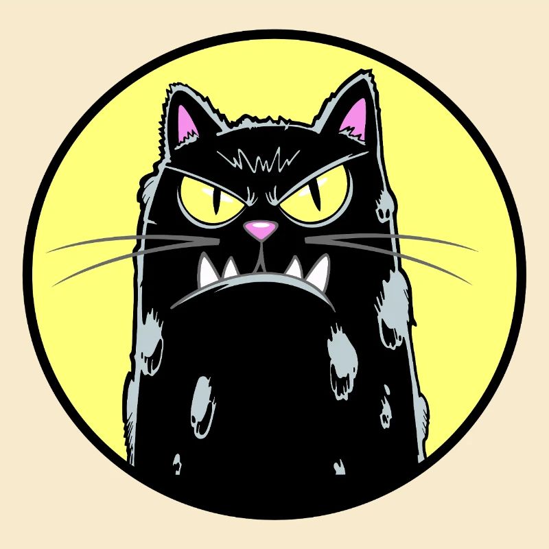 Chat noir