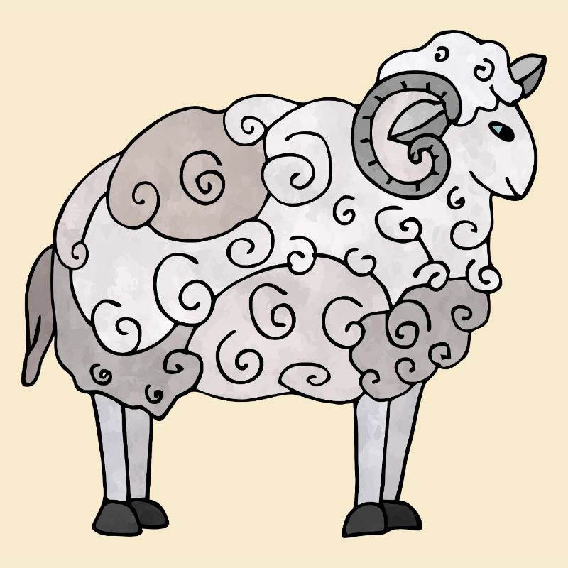 Widder