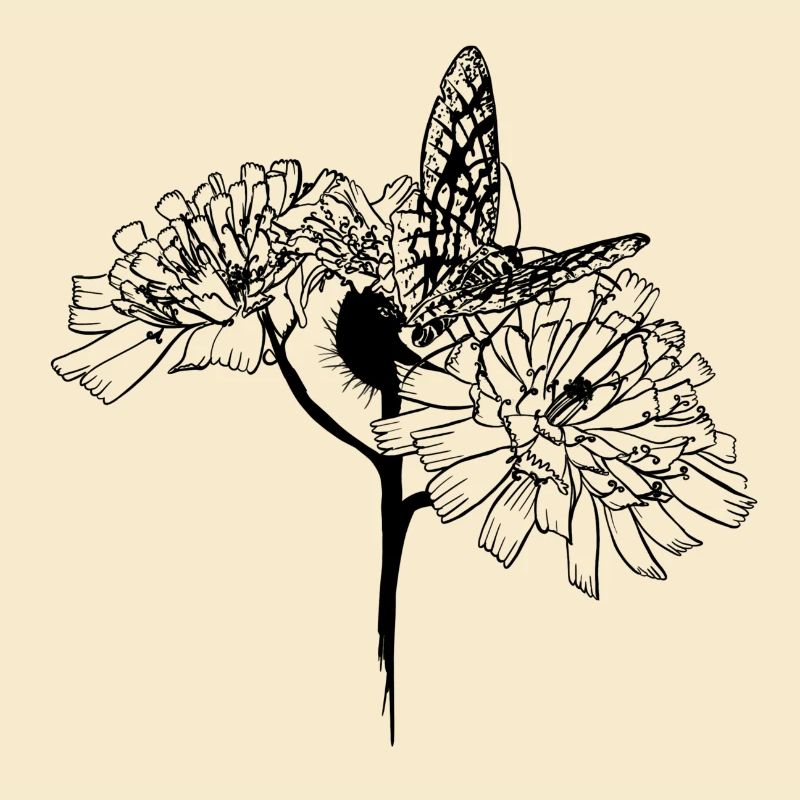 Papillon sur fleurs