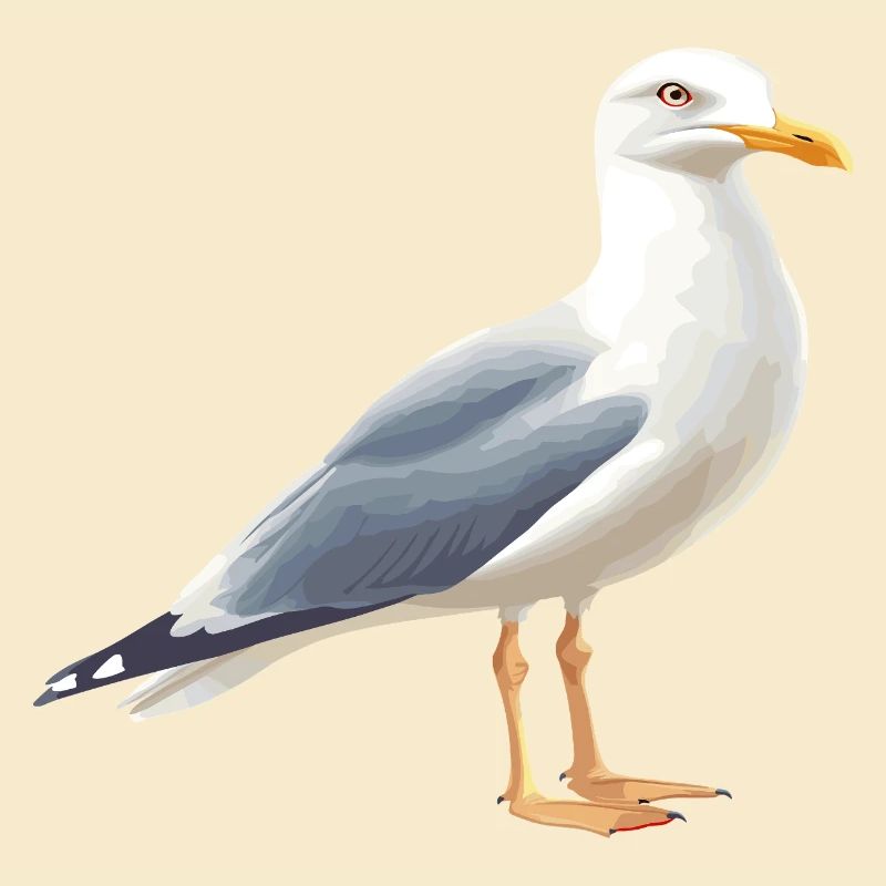 Coastal Clouds Seagull