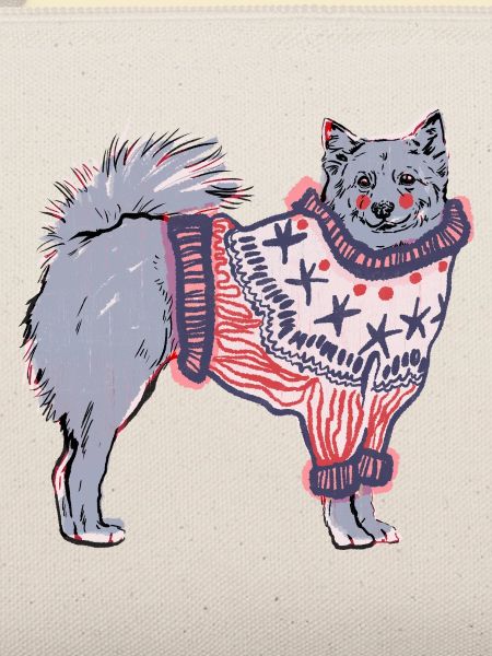 FINNISCHER SPITZ IM JUMPER