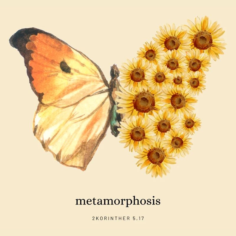 Metamorphosis
