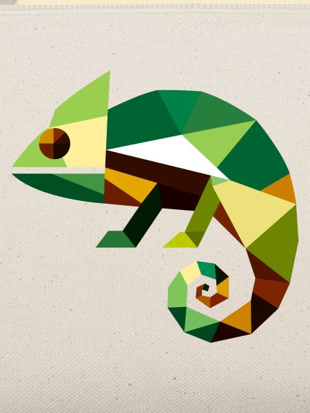 Geometric Chameleon