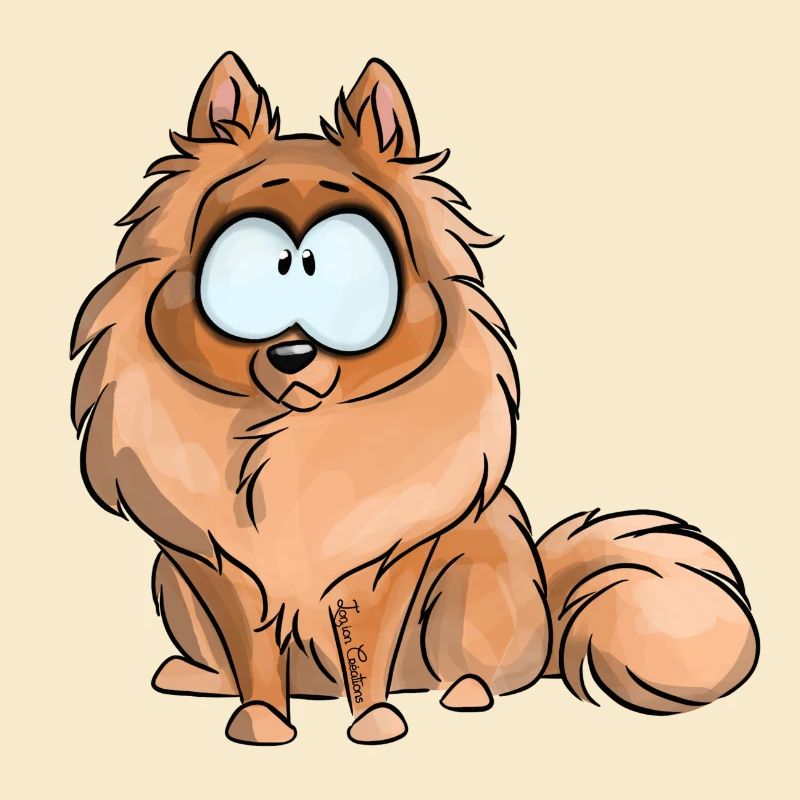 I'm German Spitz Dwarf