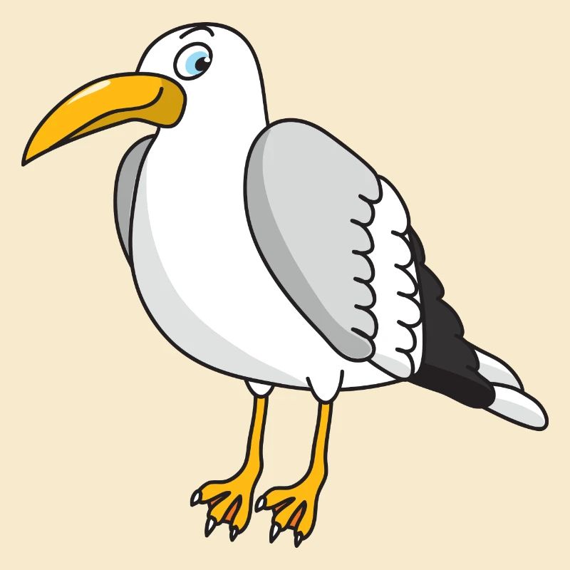 mouette