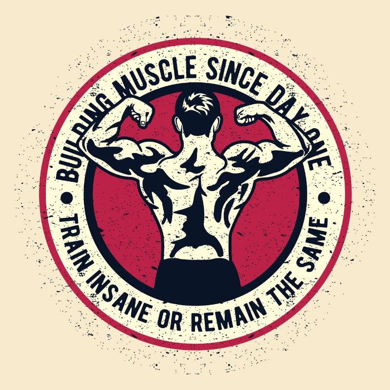 Muscle de construction