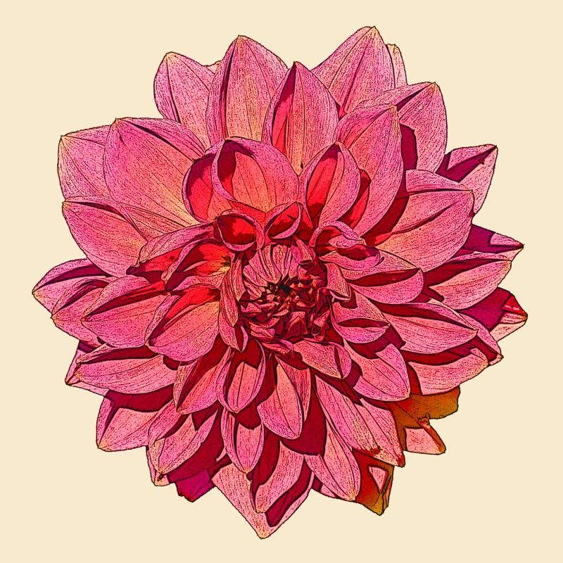 Große Dahlia