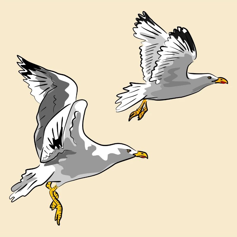 Möwen im Flug Design