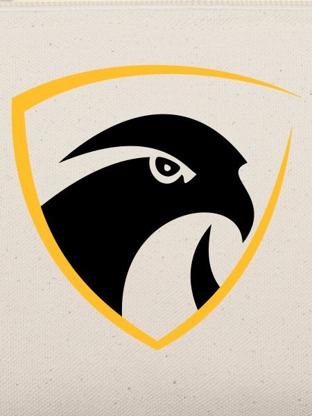 Falcon Logo