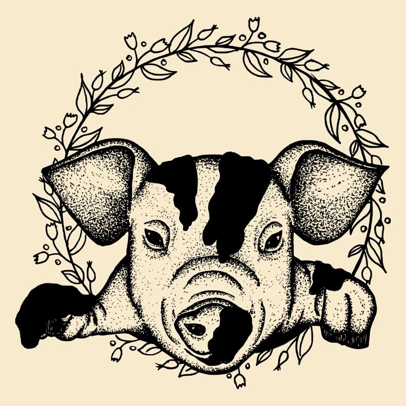 Schwein