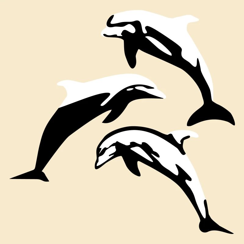 Delfin, Delfine - Dolphin