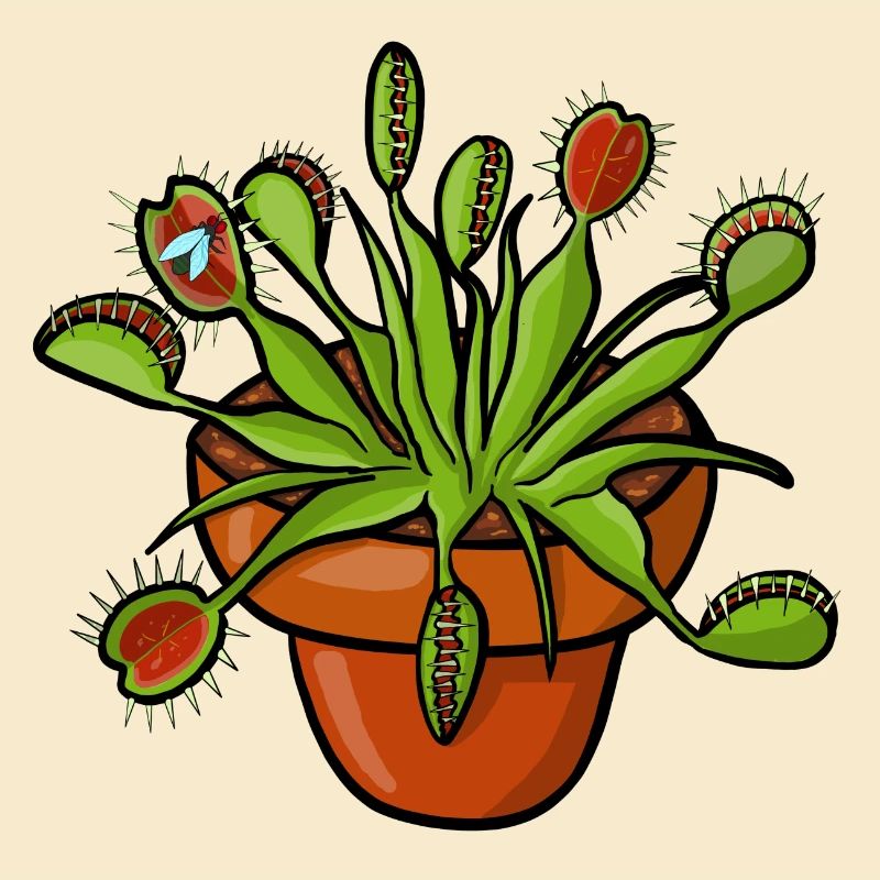 The Venus flytrap can count