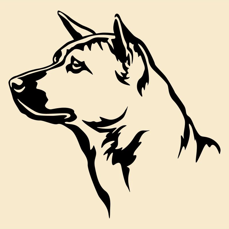 Thai Ridgeback Kopf