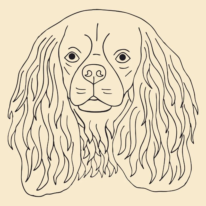 Cavalier King Charles Spaniel