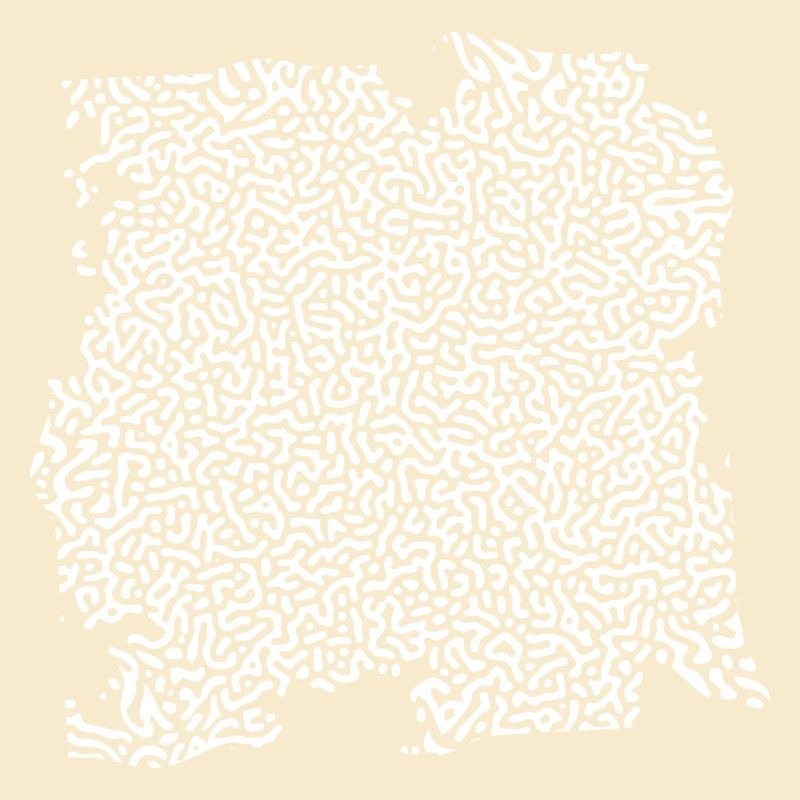 turing pattern white - worm