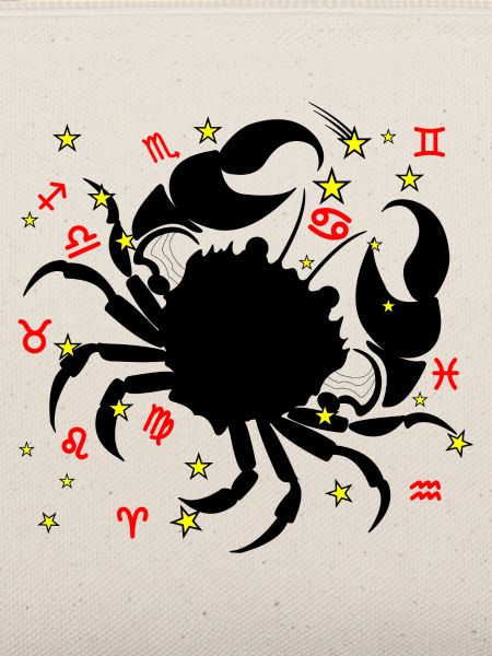 Sternzeichen Stern Logo Krebs