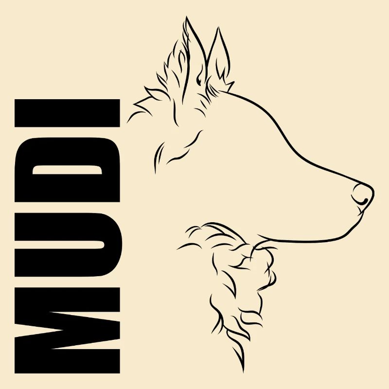 Mudi Profil Hunde Hund Wilsigns