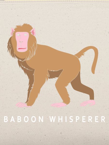 Baboon Pavian Primat Affe Affen
