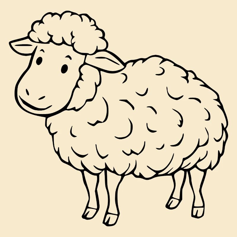 Schaf Schäfchen Lamm