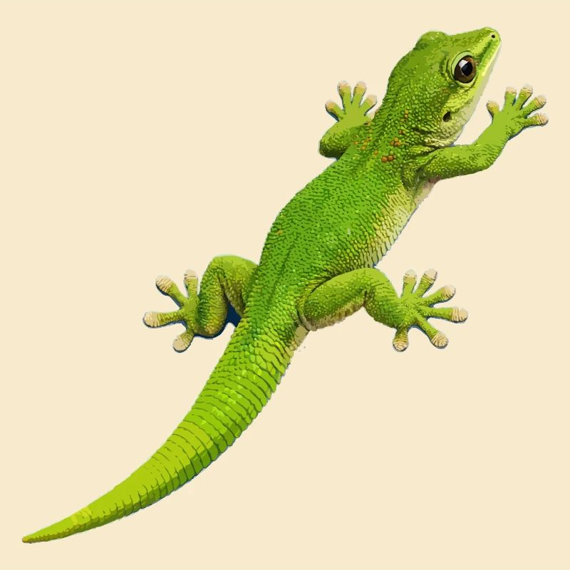 Escalade de gecko 1