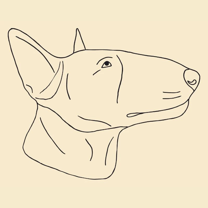 Bullterrier