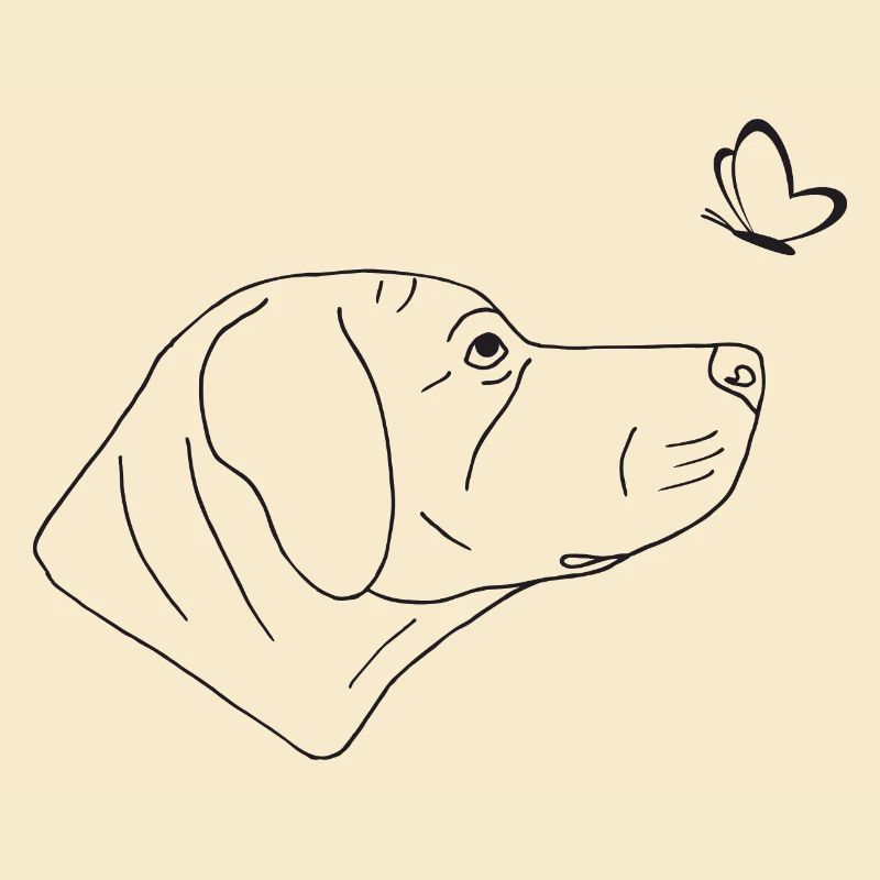 Rhodesian Ridgeback mit Schmetterling