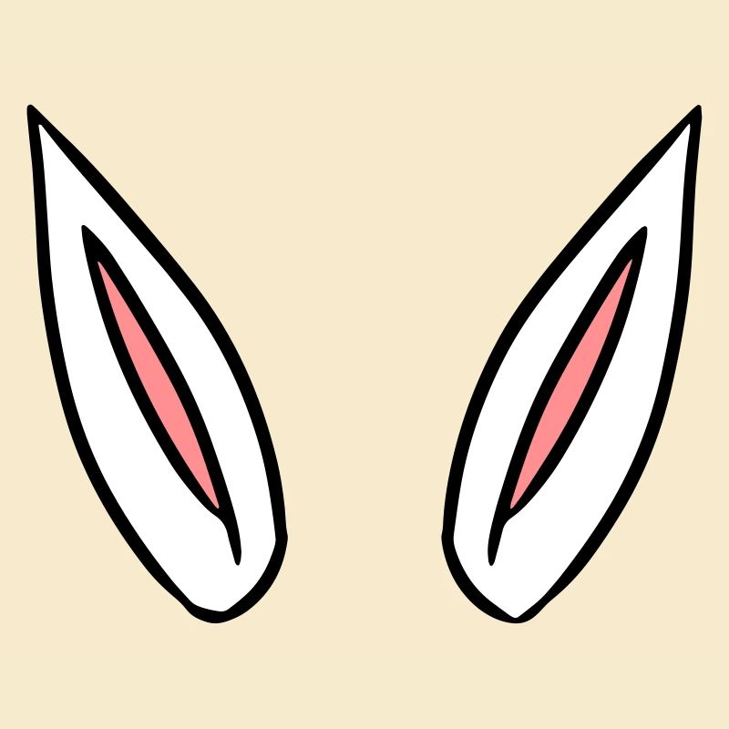 ears gift idea rabbit ears