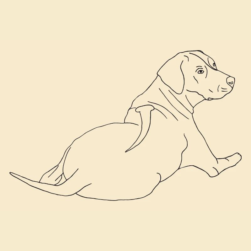 Rhodesian Ridgeback