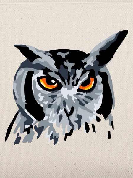 Eule Uhu Kauz Vogel