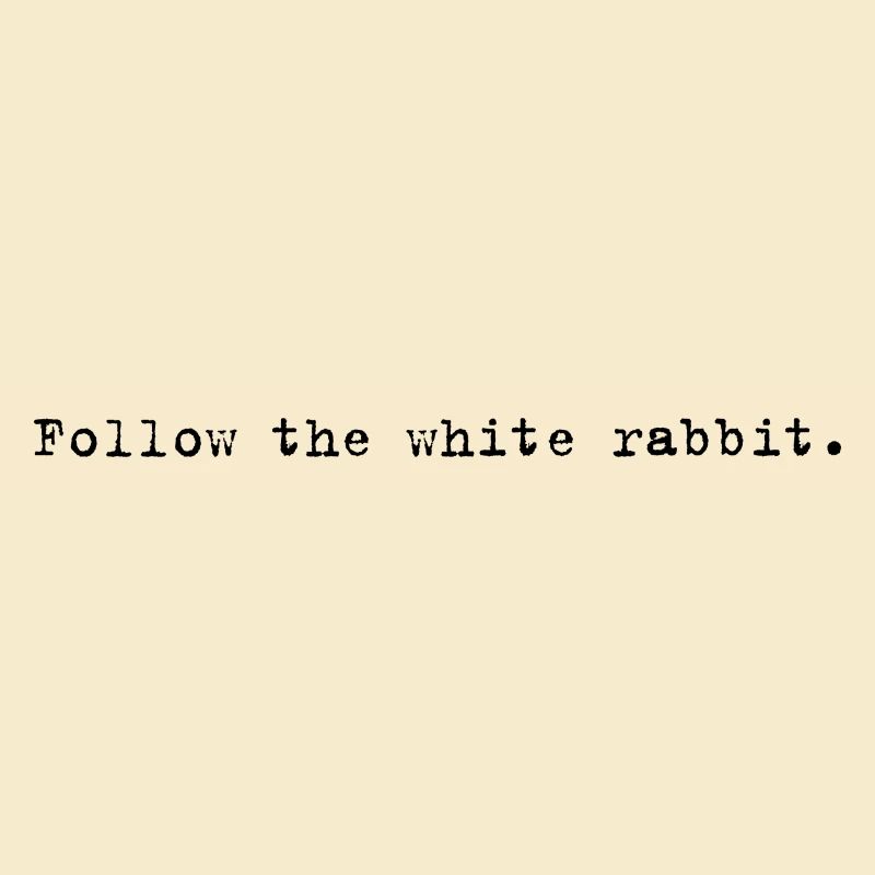 Follow the white rabbit Programming Informatik