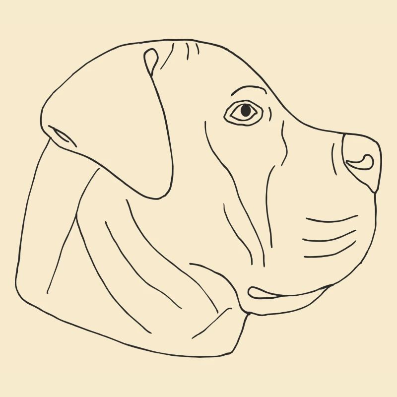 Boerboel