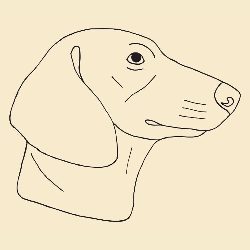Dackel