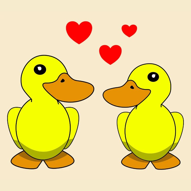 Canards Saint-Valentin