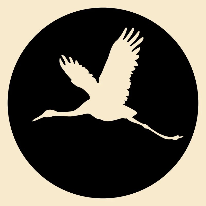 Storch 1